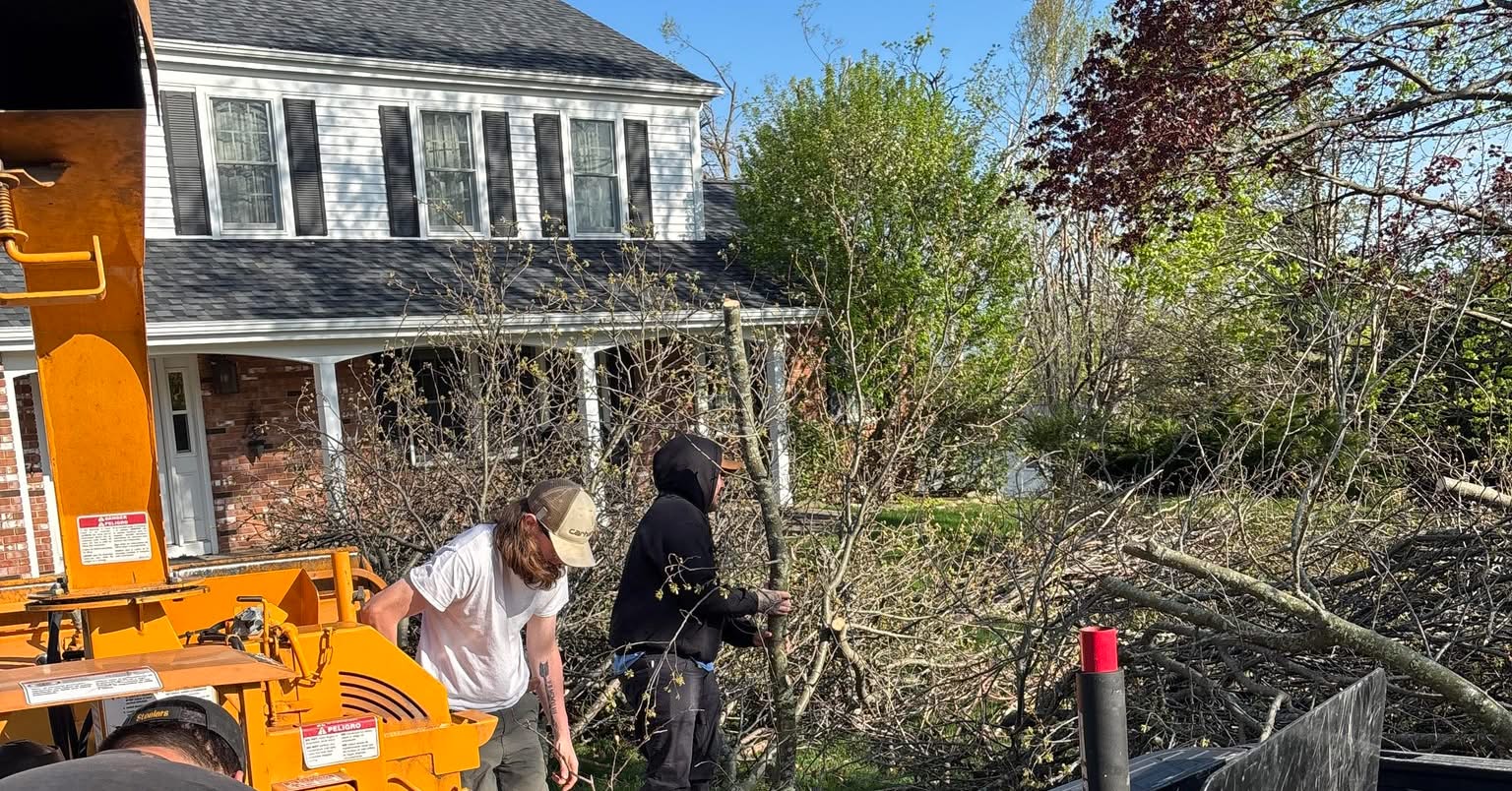 Tree Trimming